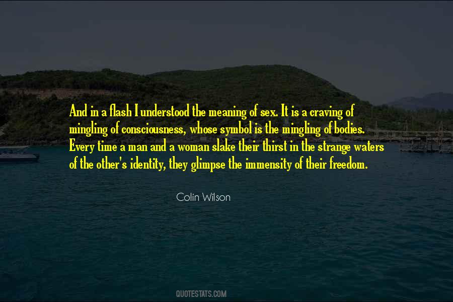 Quotes About The Meaning Of Freedom #1832610