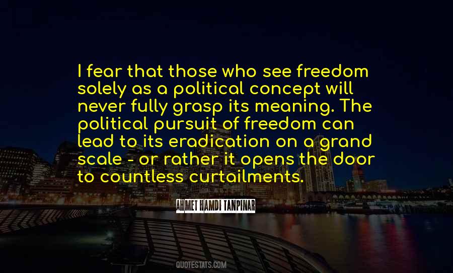 Quotes About The Meaning Of Freedom #854284