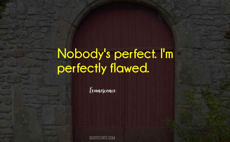 Nobody Can Be Perfect Quotes #175339