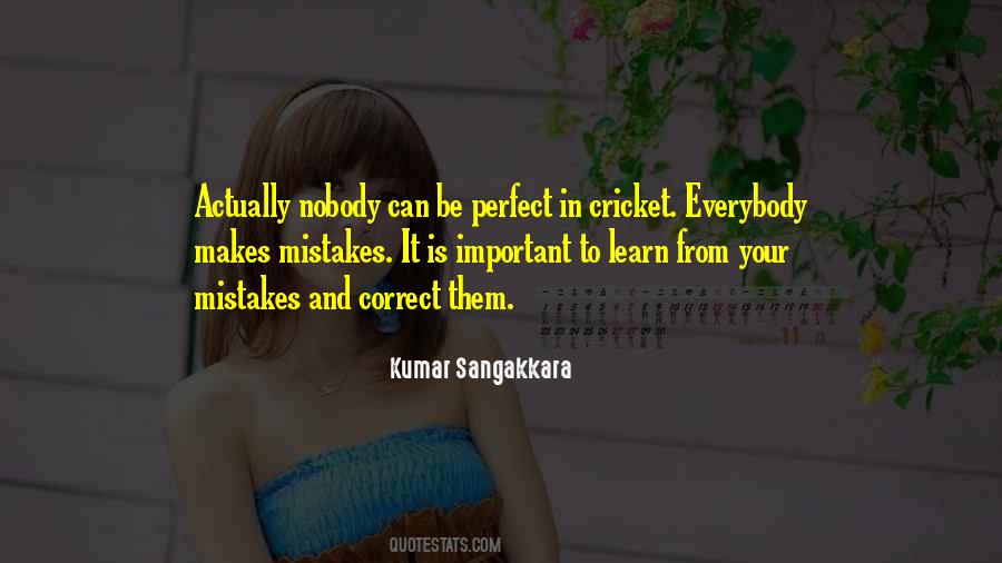 Nobody Can Be Perfect Quotes #305253