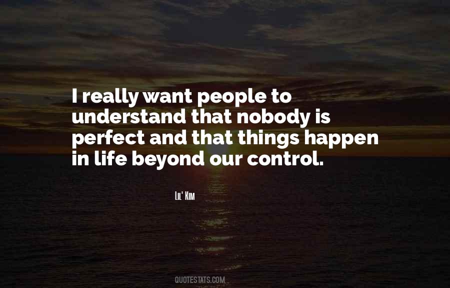 Nobody Can Be Perfect Quotes #335916