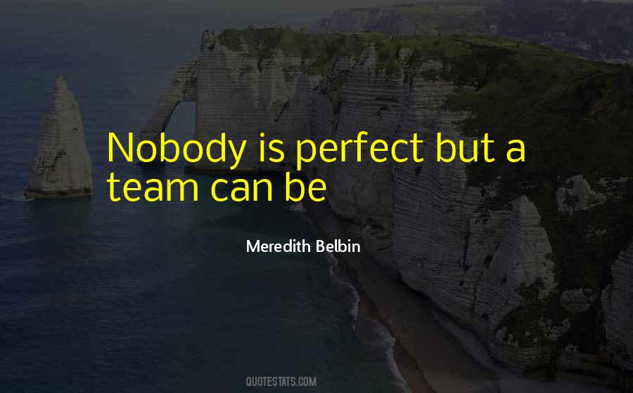 Nobody Can Be Perfect Quotes #41917