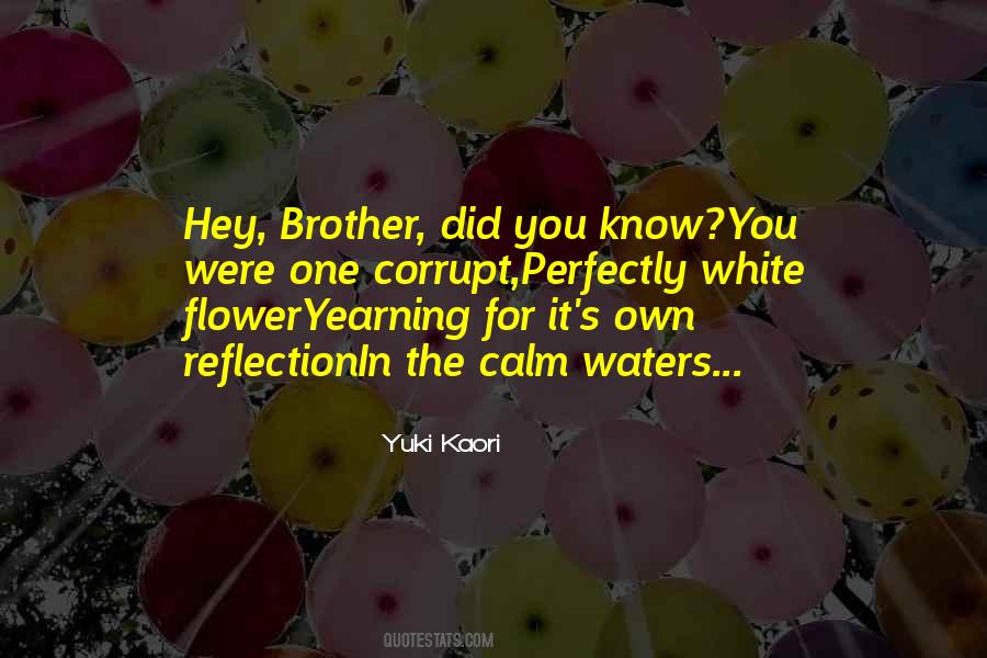 Hey Brother Quotes #1108702