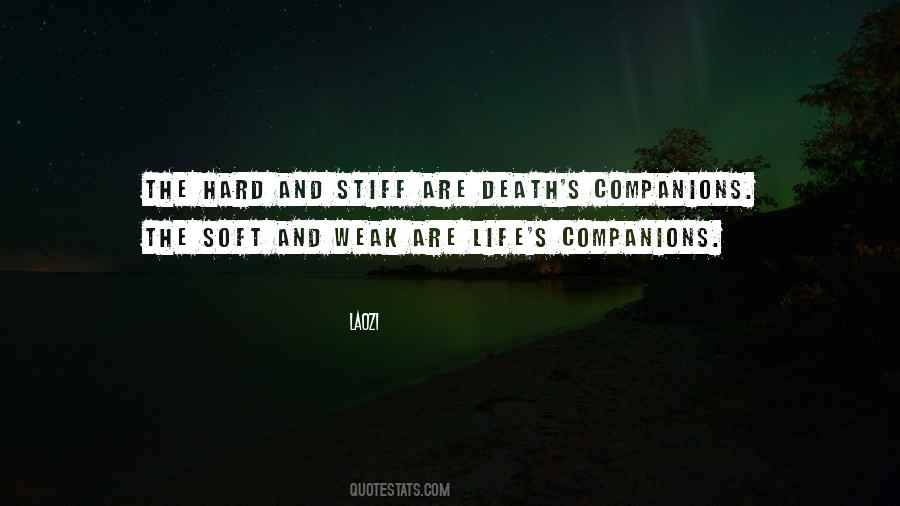 Life Companion Quotes #1426910