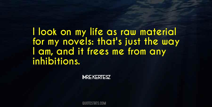 I Am On My Way Quotes #919516