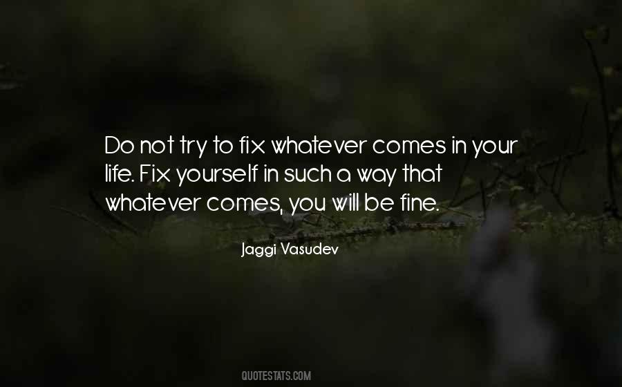 Whatever Comes Your Way Quotes #198297