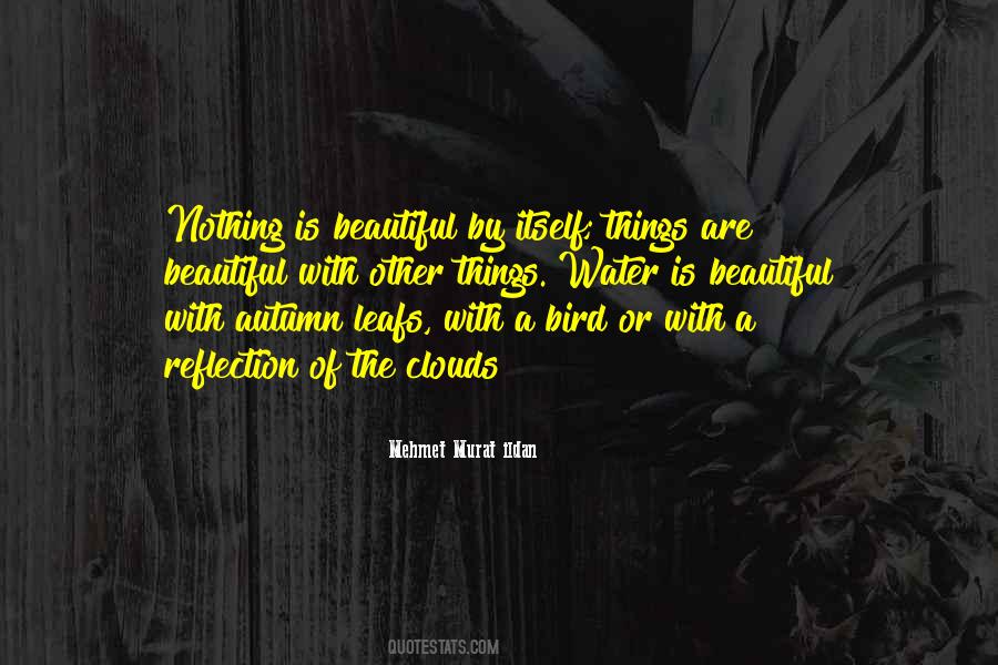 Beautiful Bird Quotes #1319717