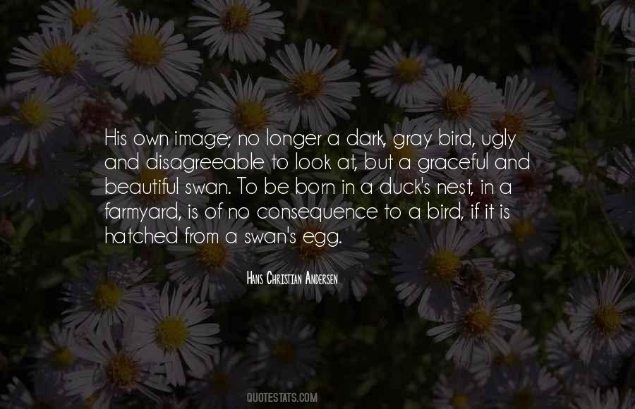 Beautiful Bird Quotes #137296