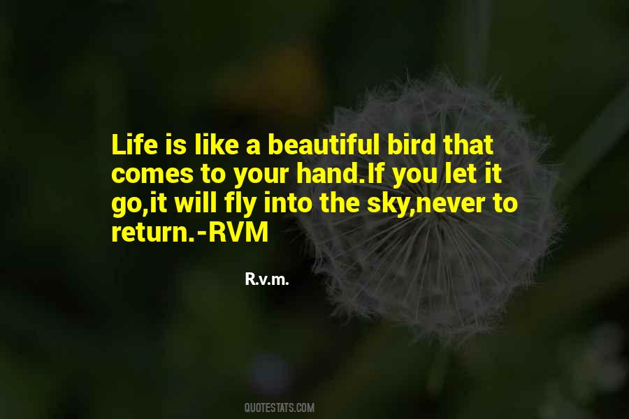 Beautiful Bird Quotes #1666677