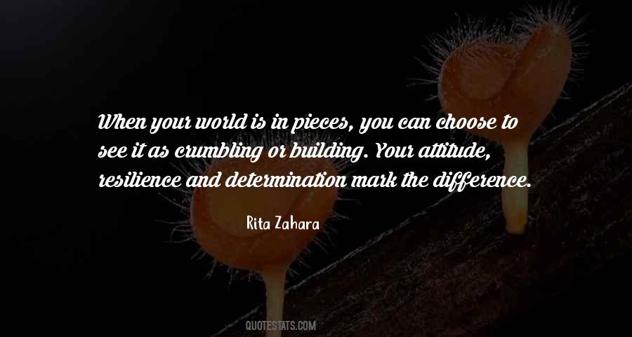 Resilience And Determination Quotes #628967
