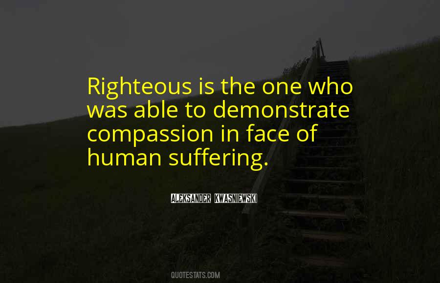 The Righteous One Quotes #991630