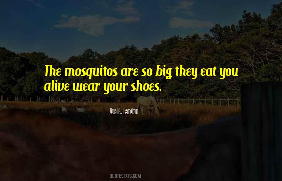 Wear The Shoes Quotes #1531944