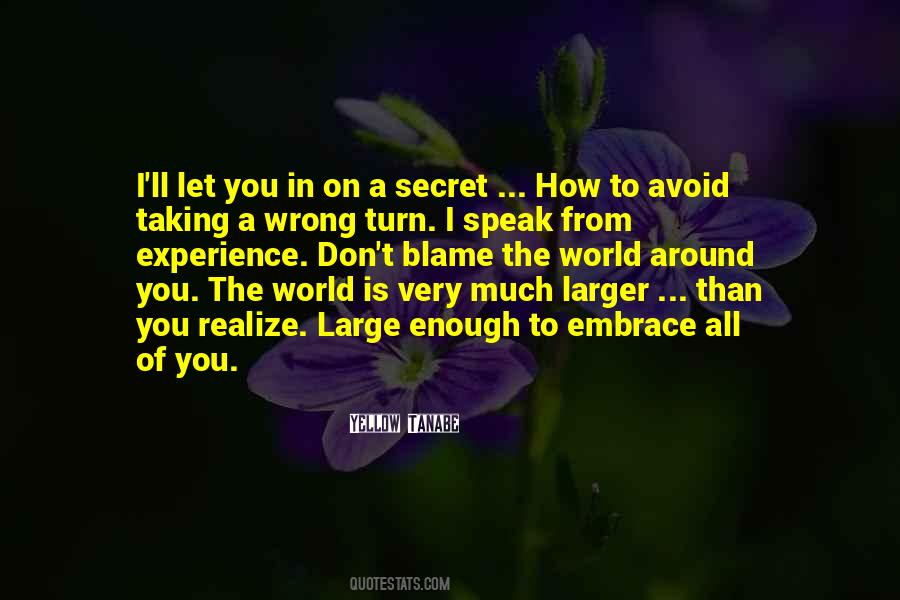 Blame On You Quotes #750455