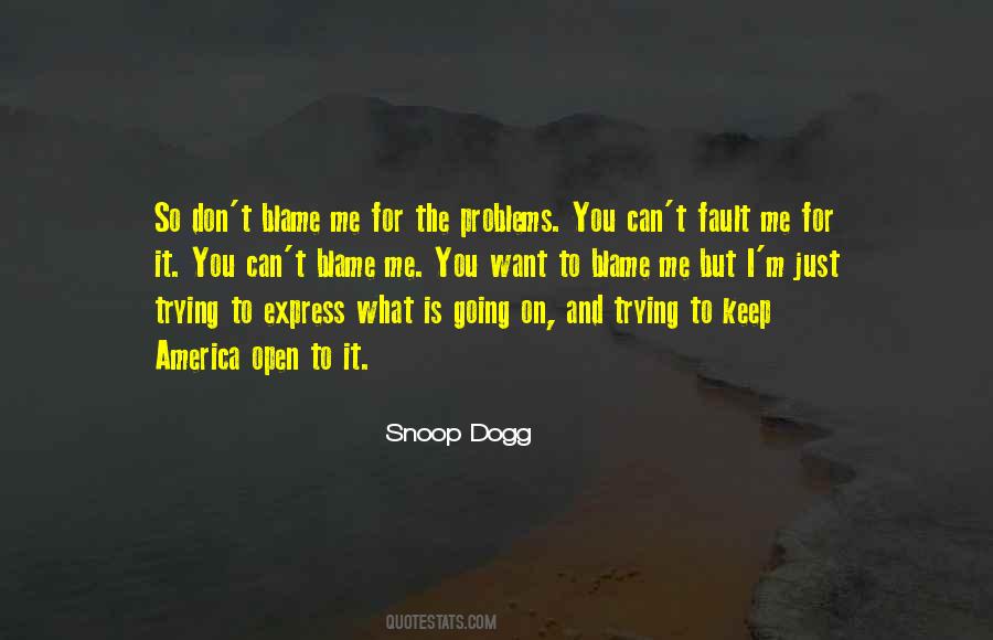Blame On You Quotes #937329