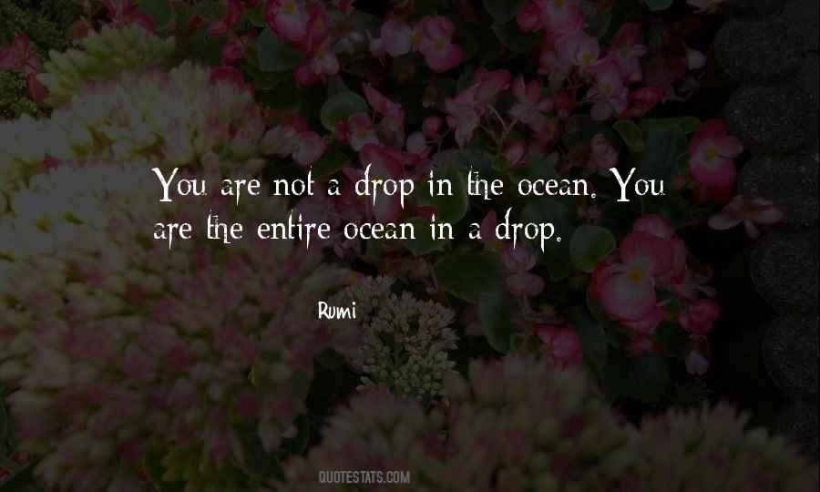 A Drop In The Ocean Quotes #149729