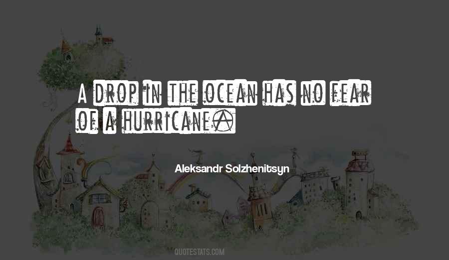 A Drop In The Ocean Quotes #153671