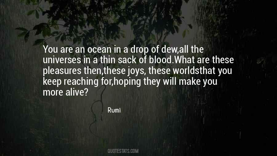 A Drop In The Ocean Quotes #525513