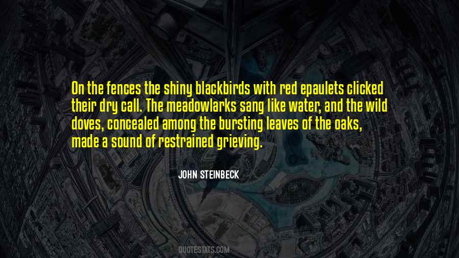 Sound Of Nature Quotes #1268693