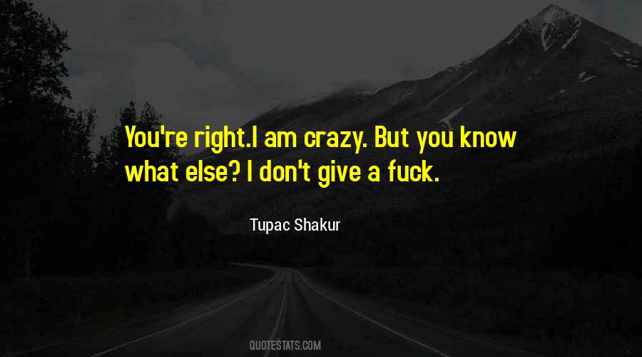 Quotes About I Am Crazy #363188
