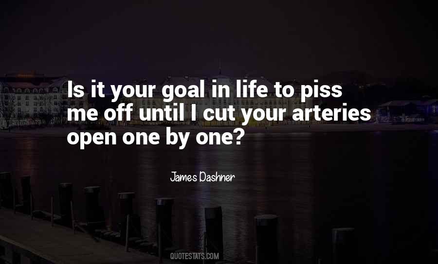 Your Goal In Life Quotes #455802