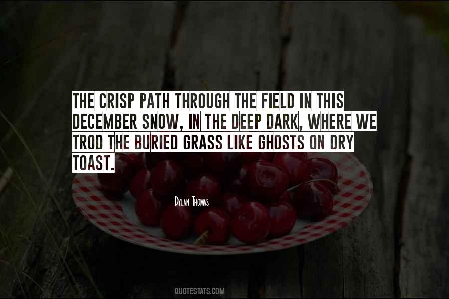 Dark Path Quotes #1753549