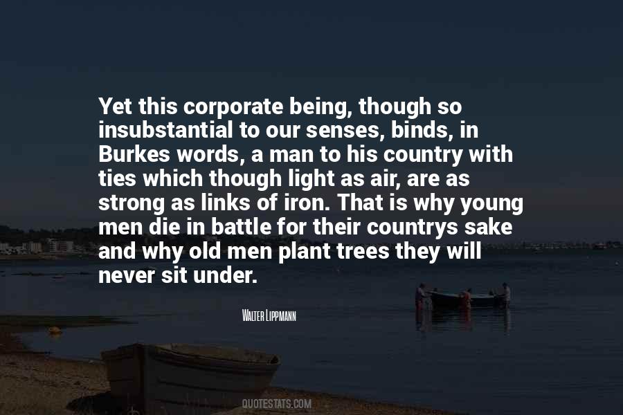 Old Men Plant Trees Quotes #215968