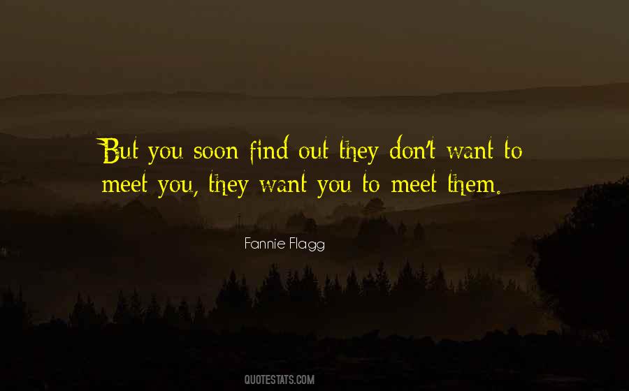 Want To Meet You Quotes #501966