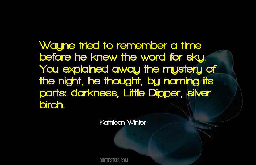 Night Mystery Quotes #1137497