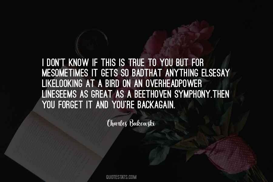 Forget What They Say Quotes #144606