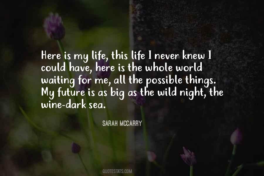 Future Is Dark Quotes #1473876