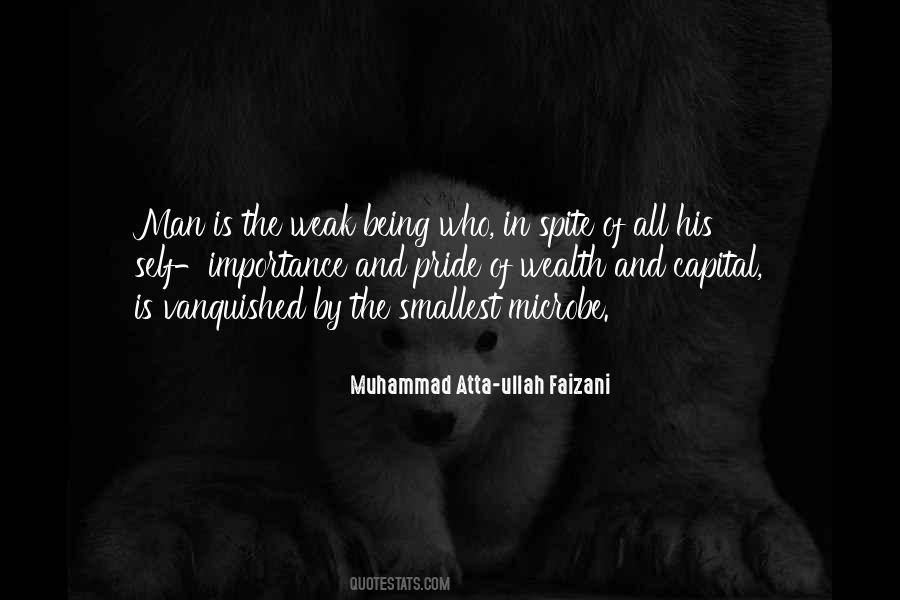 Self Wealth Quotes #1051993