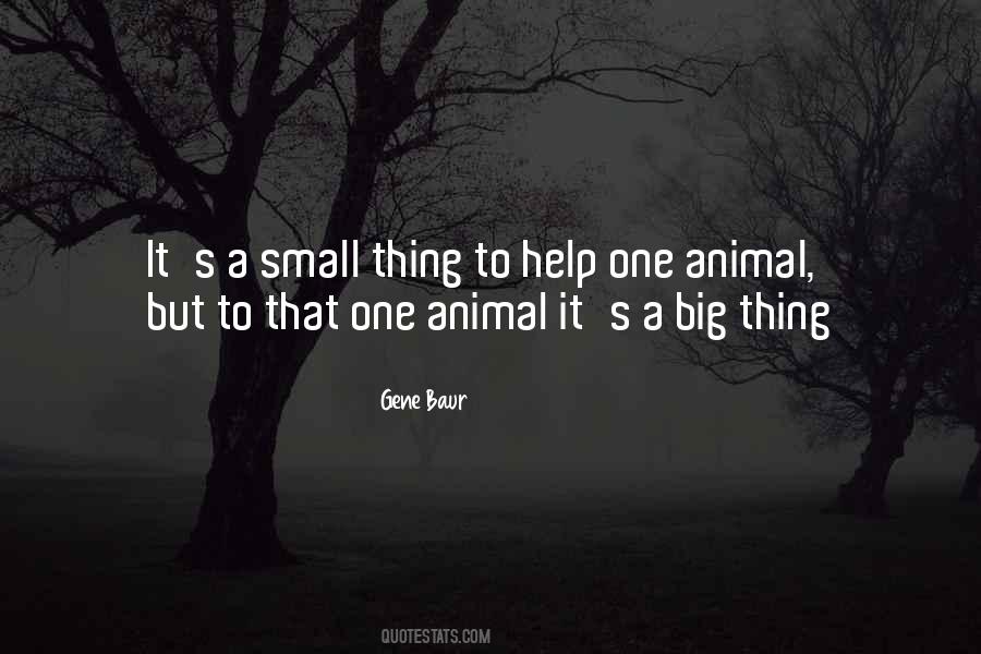 Small Animal Quotes #1847427