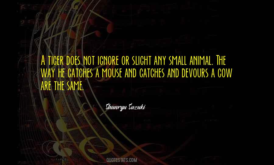 Small Animal Quotes #697574