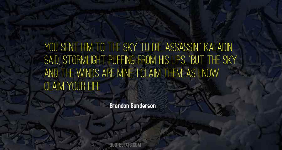 You Are The Sky Quotes #220717