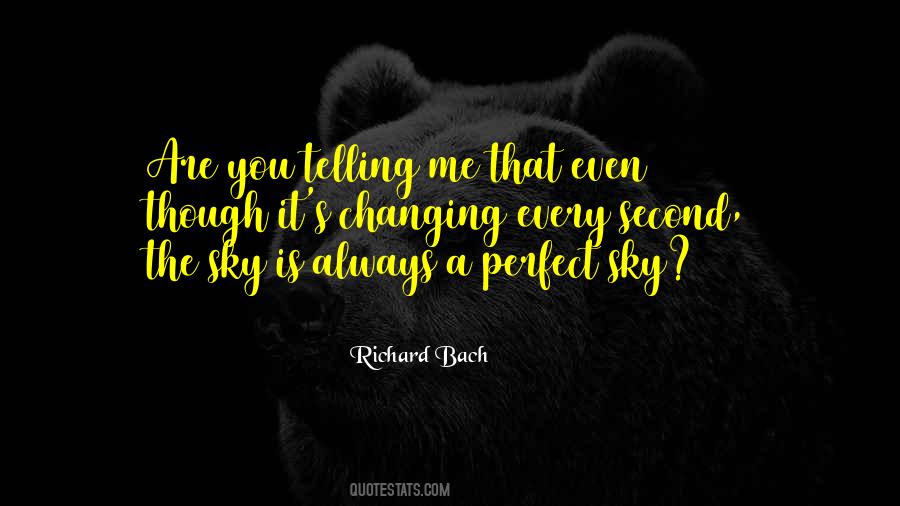 You Are The Sky Quotes #481387