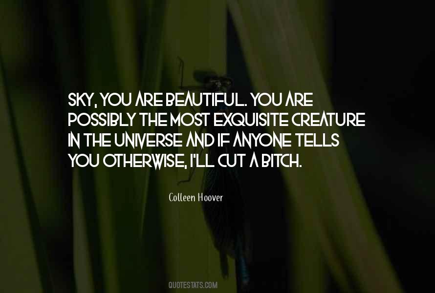 You Are The Sky Quotes #513556
