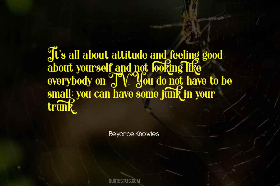 Like Your Attitude Quotes #1268448