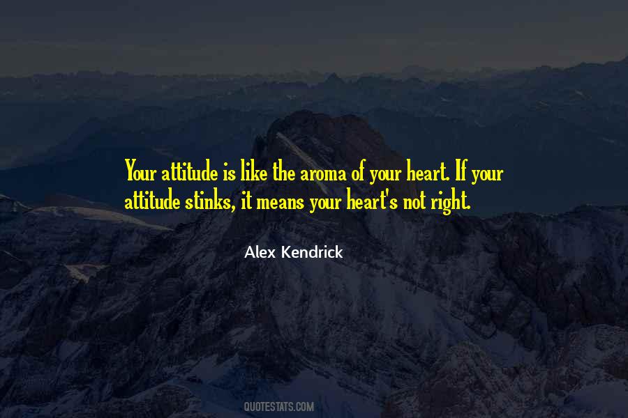 Like Your Attitude Quotes #145096