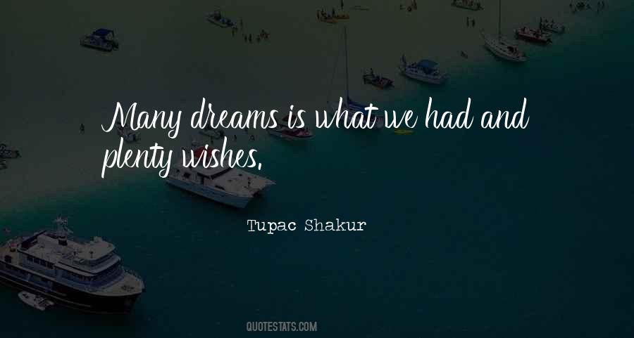 Wish And Dream Quotes #348856