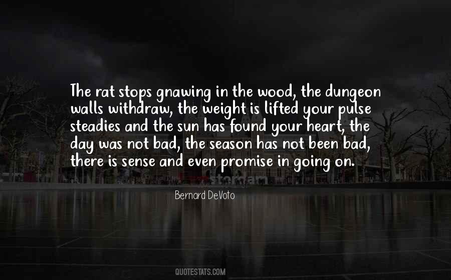 Quotes About The Dungeon #637355