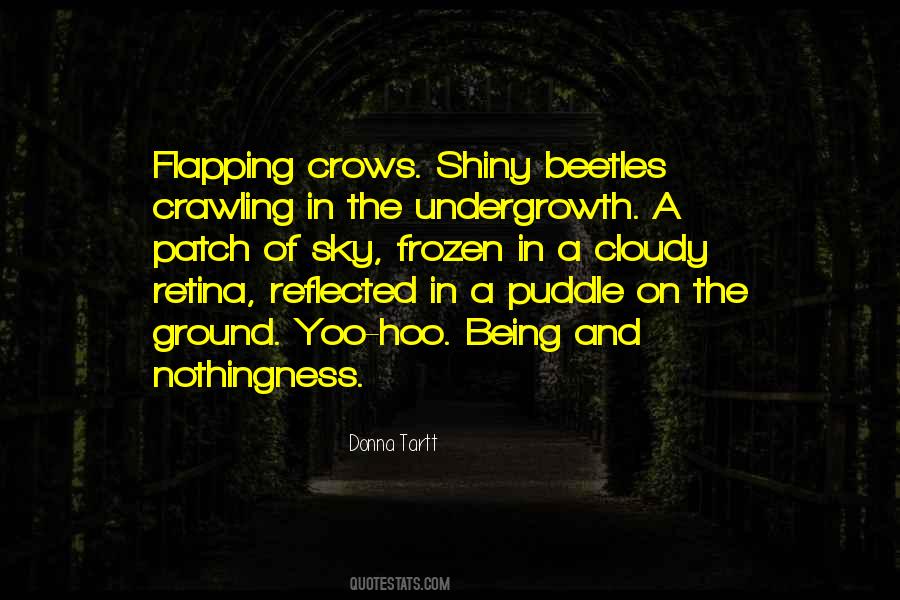 Quotes About The Cloudy Sky #26173