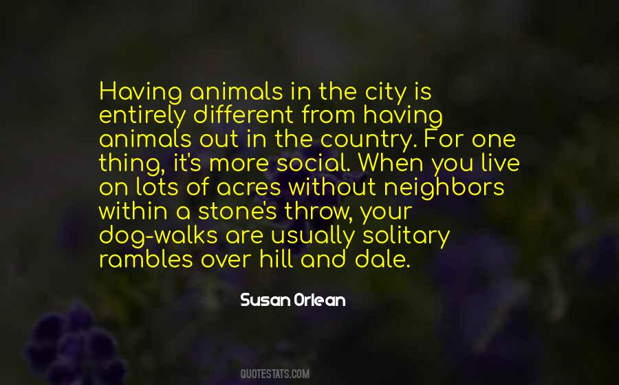 The City Is Quotes #1226067