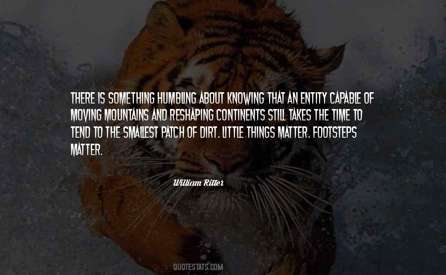 Even The Smallest Things Quotes #244400