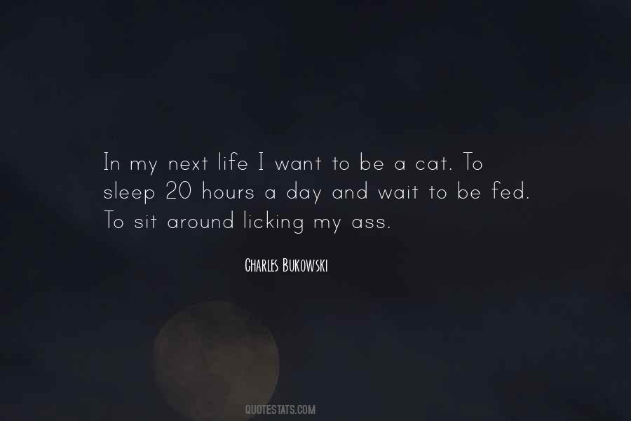 Sleep Cat Quotes #194014