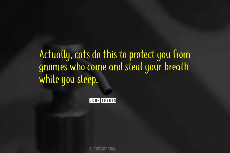 Sleep Cat Quotes #225861