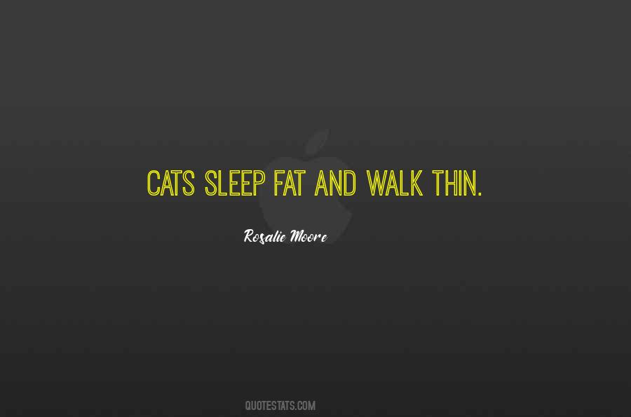 Sleep Cat Quotes #848953