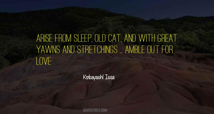 Sleep Cat Quotes #970371