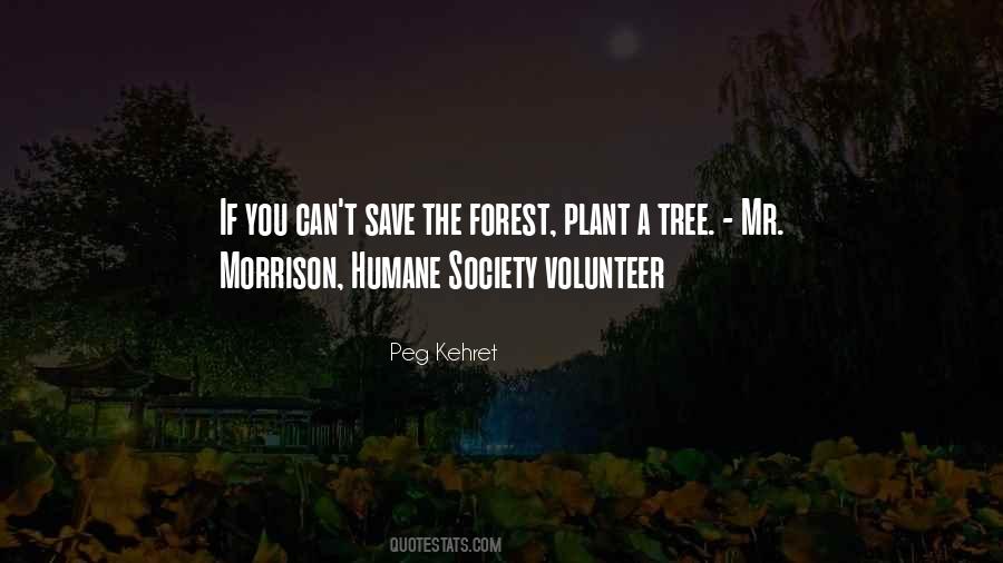 Save The Forest Quotes #1687213