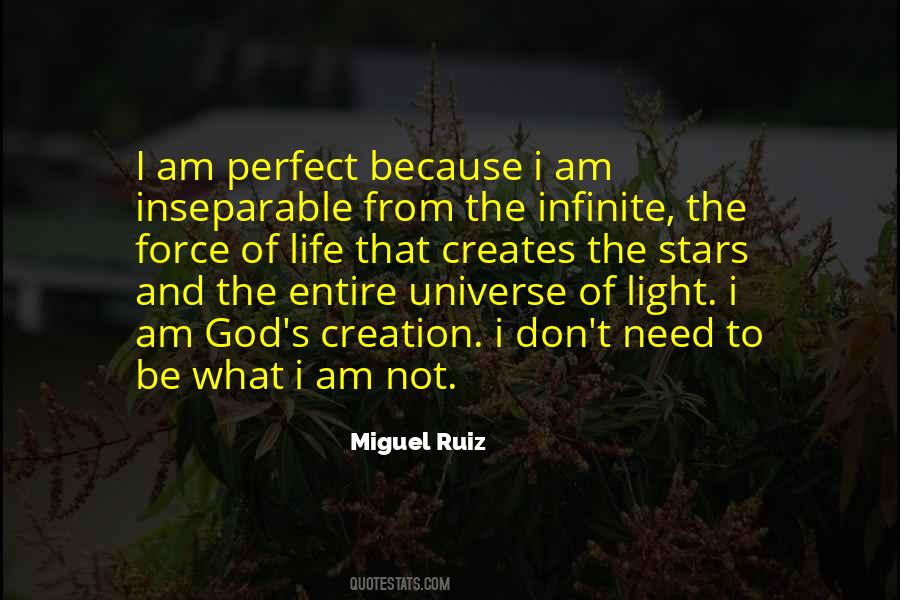 Quotes About The Entire Universe #25585
