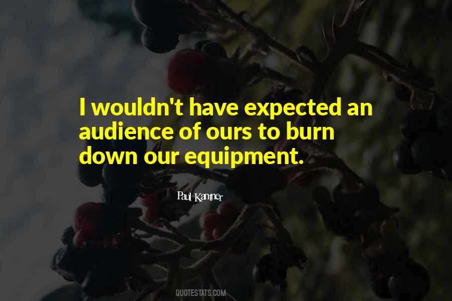 Burn It All Down Quotes #163050